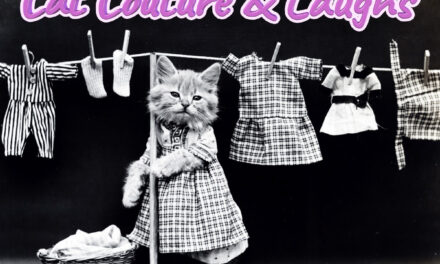 The Unexpected Success Story of a Home-Based Cat Couture Startup