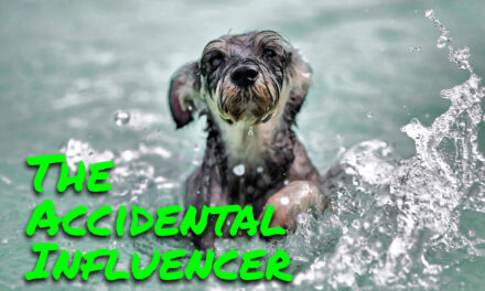The Accidental Influencer: Lessons from Going Viral Overnight