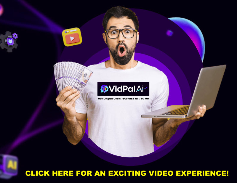 VidPal 75% Off